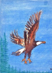 Seeadler Aquarellstifte auf Pastzell 30x25cm